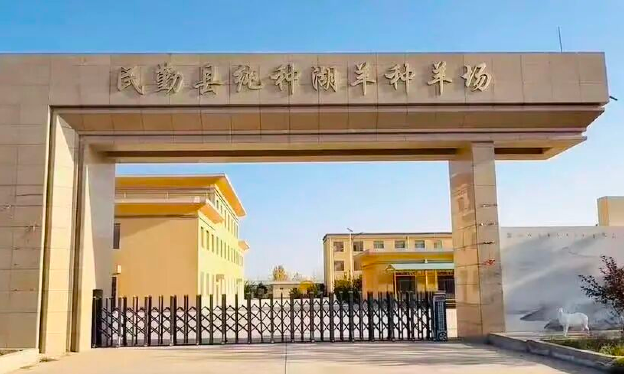 民勤县农业发展