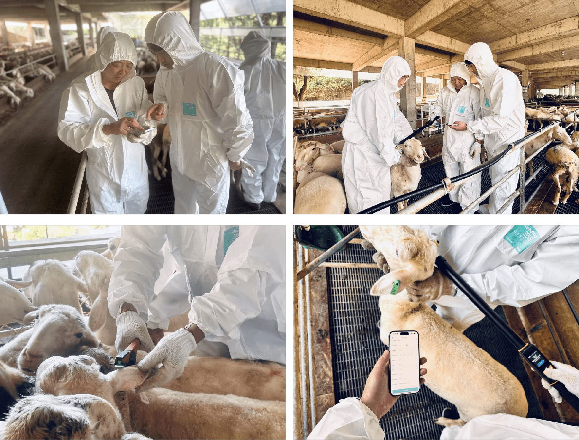 一牧羊系统界面