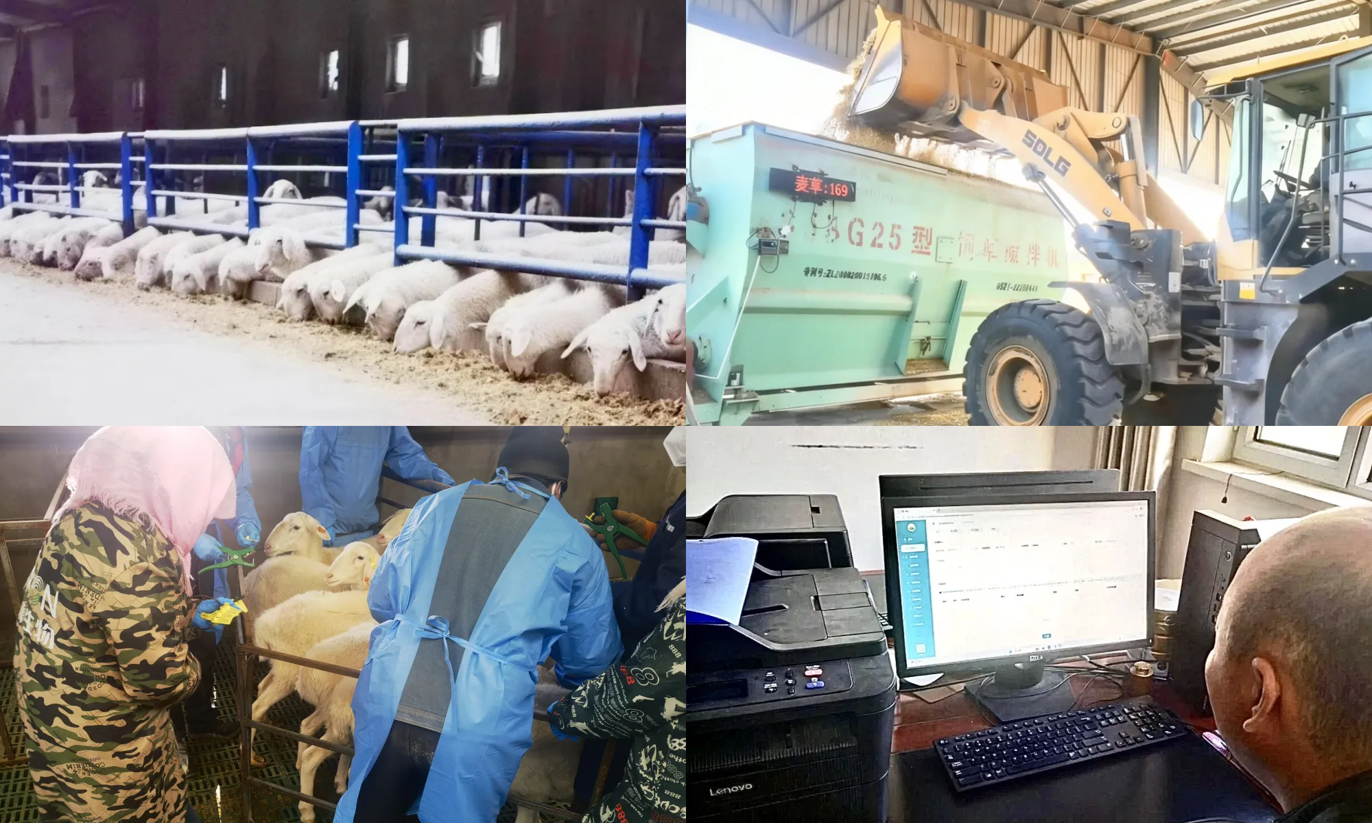 一牧羊系统界面