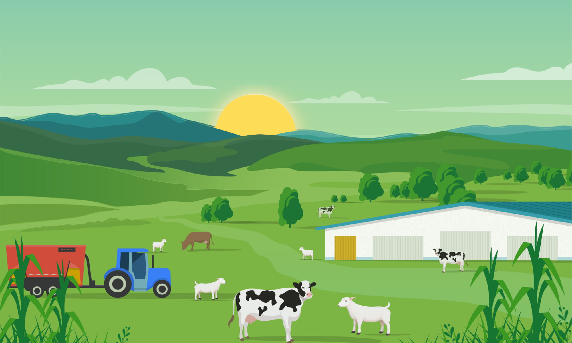 一牧数智，智慧羊场解决方案