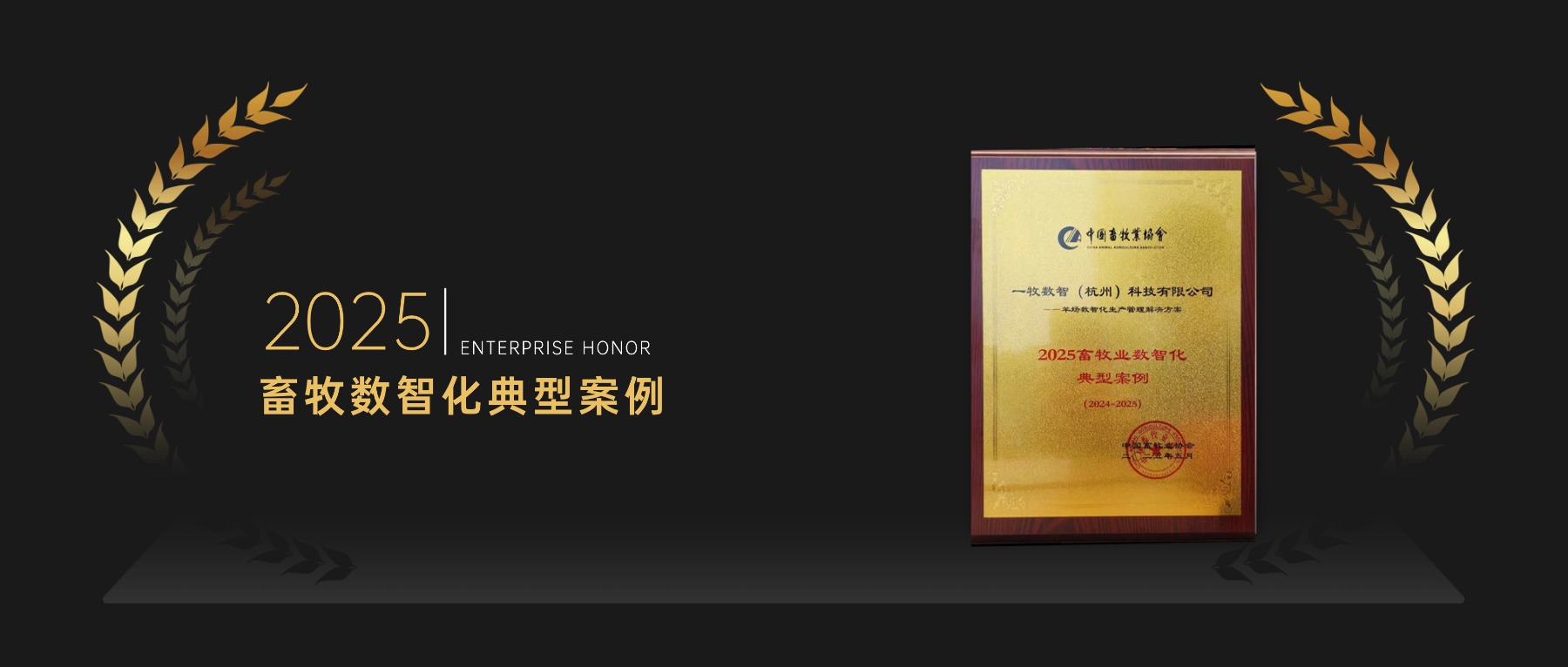 国家典型案例证书